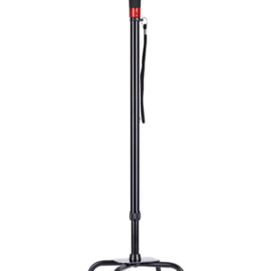 walking stick with a torch light