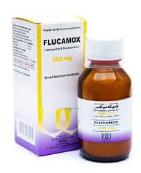 Flucamox syrup